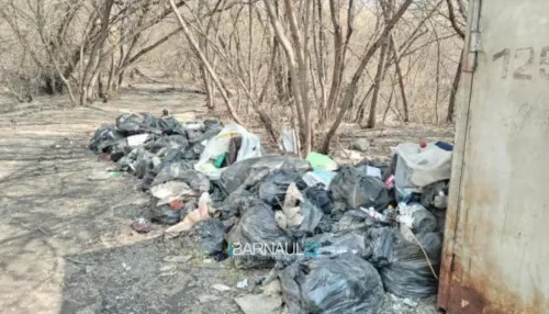 Барнаульцы жалуются на прошлогоднюю свалку с мусором в Юбилейном