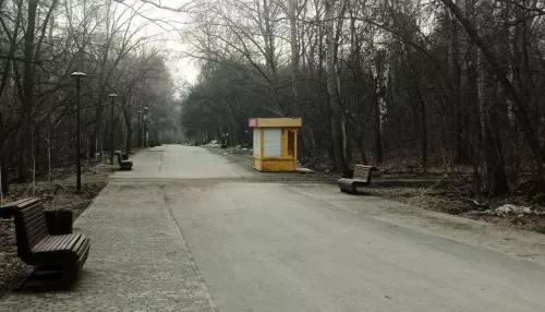 В Барнауле убрали нелегальный киоск в парке Юбилейный
