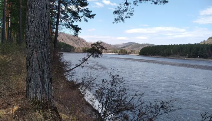 Алтайская Катунь попала в тройку самых живописных рек и озер России