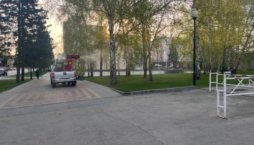 В Барнауле обрабатывают от клещей городские парки и аллеи