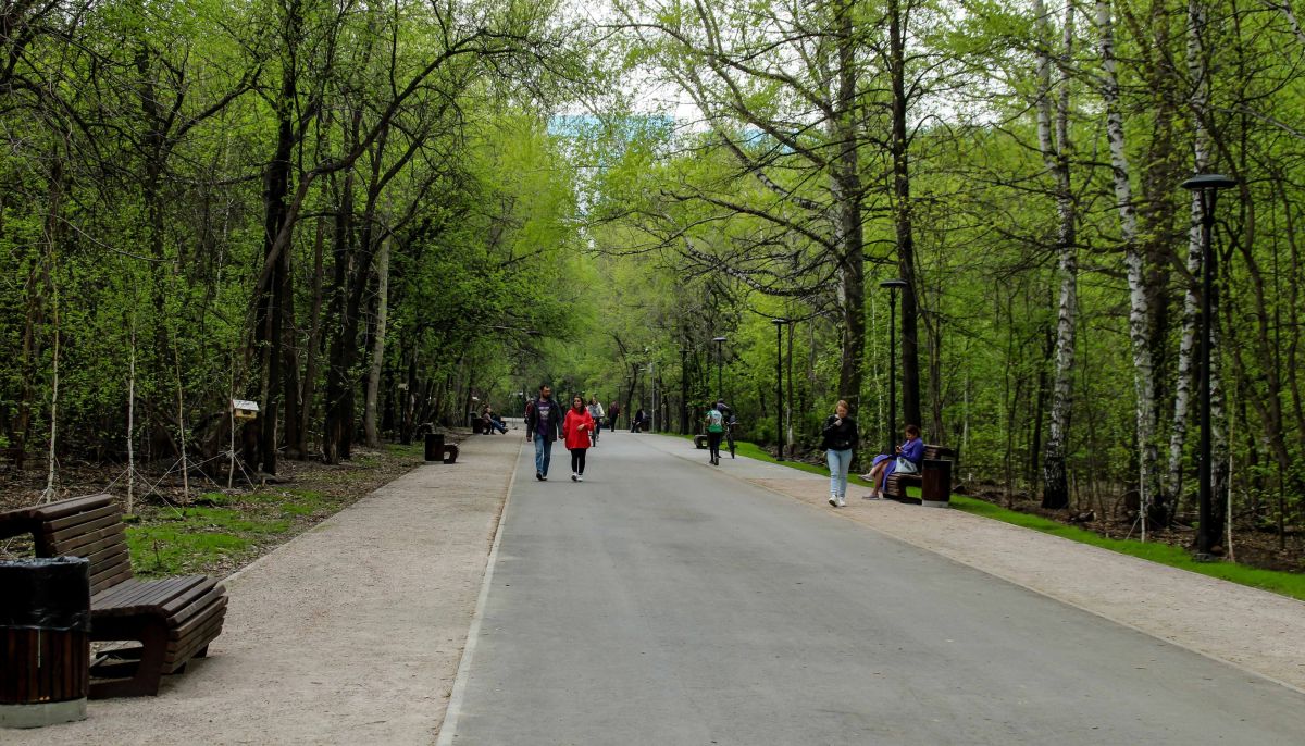 План юбилейного парка барнаул