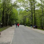 Как изменится за лето парк Юбилейный в Барнауле. Инфографика