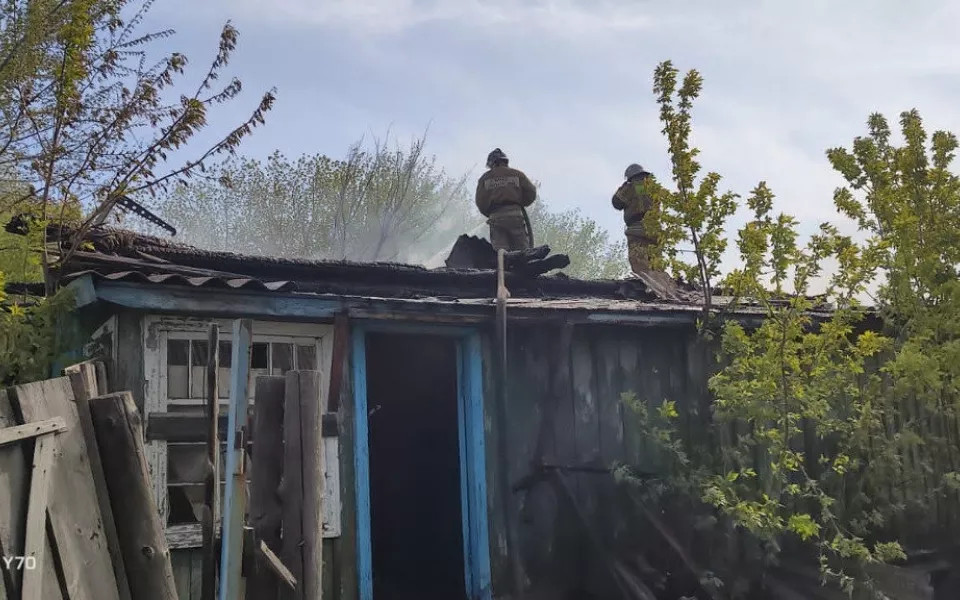 Опубликованы кадры пострадавших от пожаров сел Алтайского края