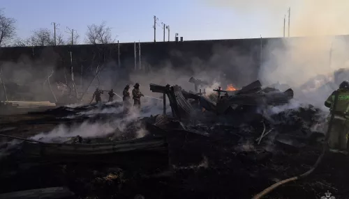 В Алтайском крае на площади в тысячу квадратов сгорела пилорама