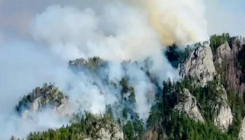 Крупный лесной пожар разгорелся в Республике Алтай