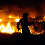 На Алтае пожарные борются с двумя лесными пожарами