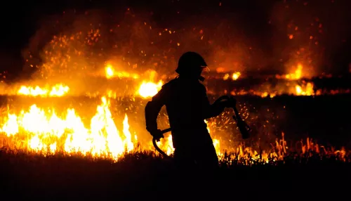 Ландшафтный пожар разгорелся на северо-западе Алтайского края