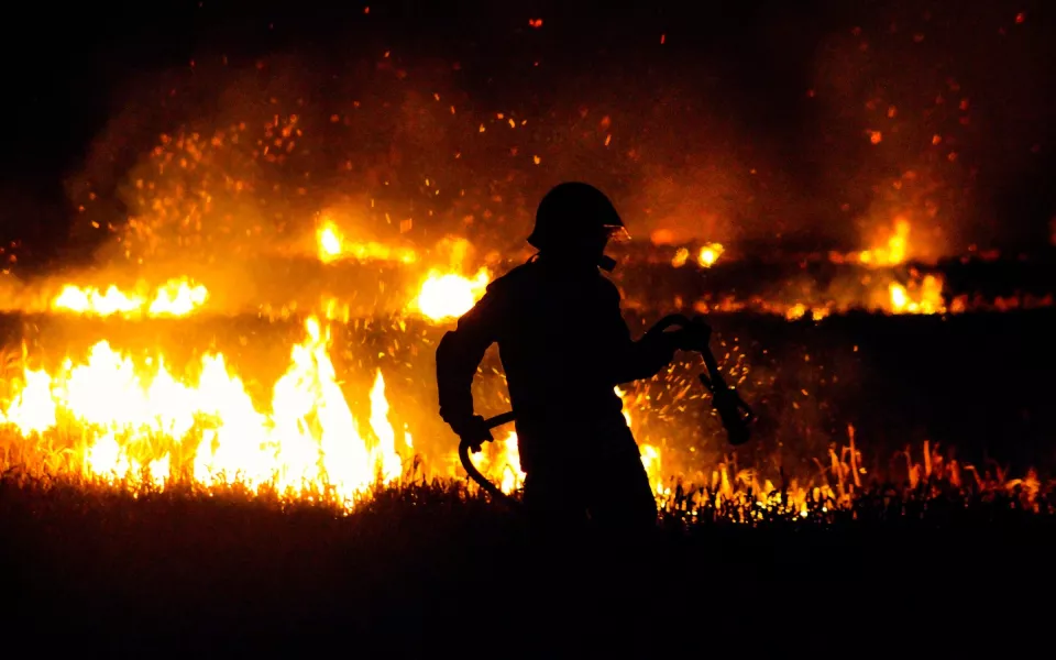 В Барнауле с начала года произошло более сотни природных пожаров