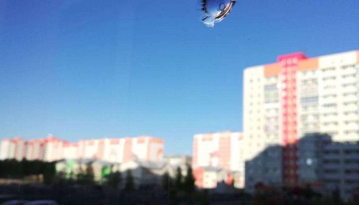 Где в Барнауле произошла стрельба по окнам из пневматики - Толк 21.05.2023