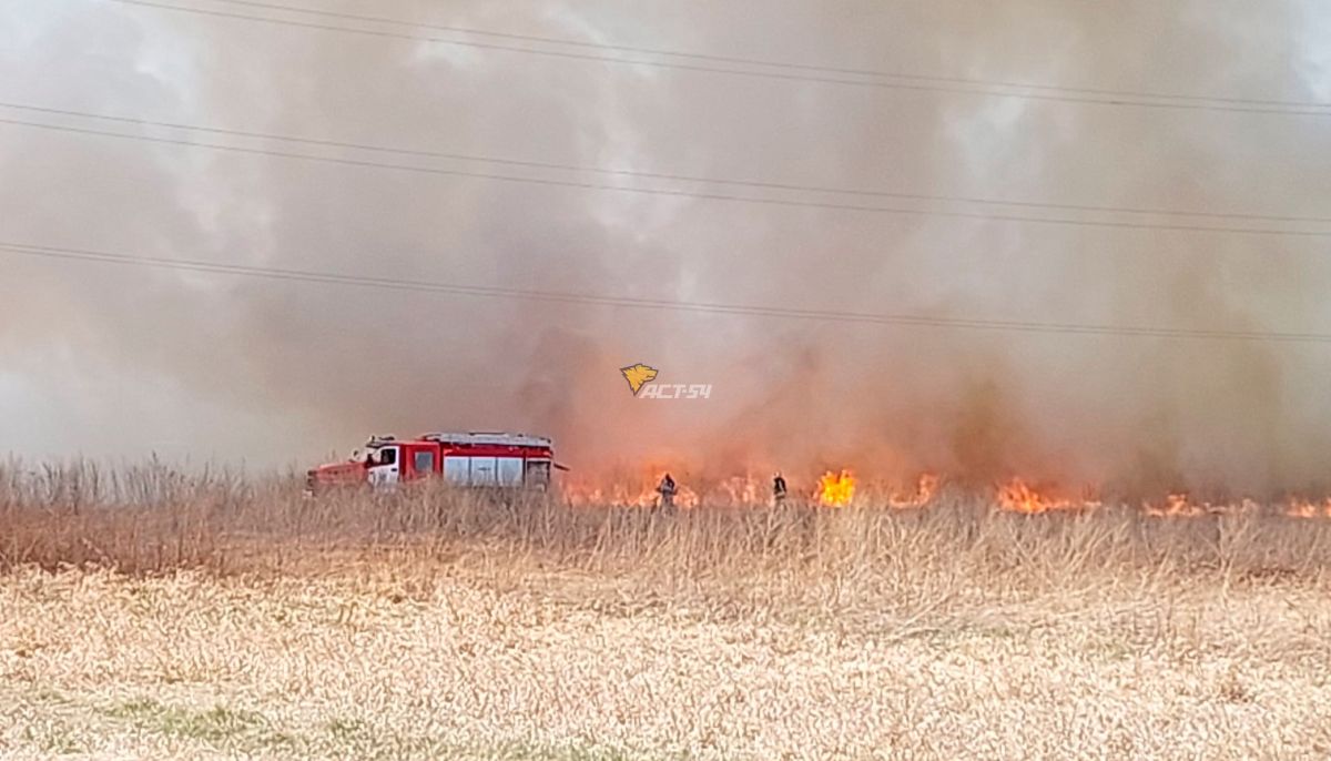 Пожары в новосибирске карта