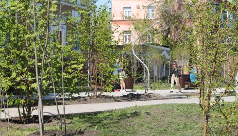 Живой, зеленый, молодой. Сквер Медиков распустился в центре Барнаула. Фото