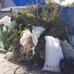 В Барнауле устранят хаос вокруг контейнерных площадок с мусором
