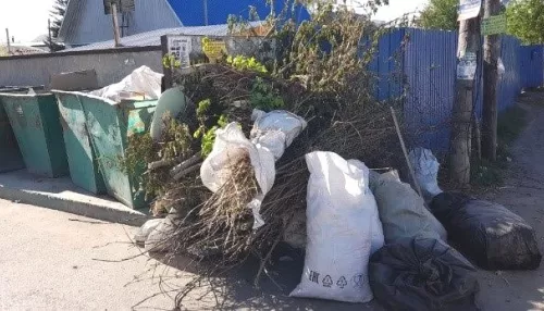 В Барнауле устранят хаос вокруг контейнерных площадок с мусором