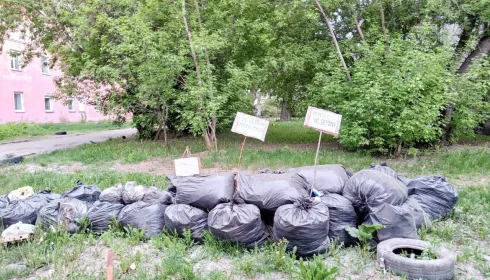Барнаульцы пожаловались на растущую кучу мусора в центре города