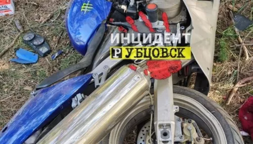 Два человека погибли после столкновения мотоцикла с деревом в Алтайском крае