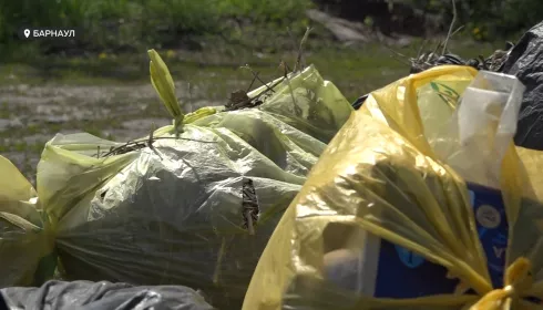 Не входит в обязанности: частный сектор в центре Барнаула обрастает мусором