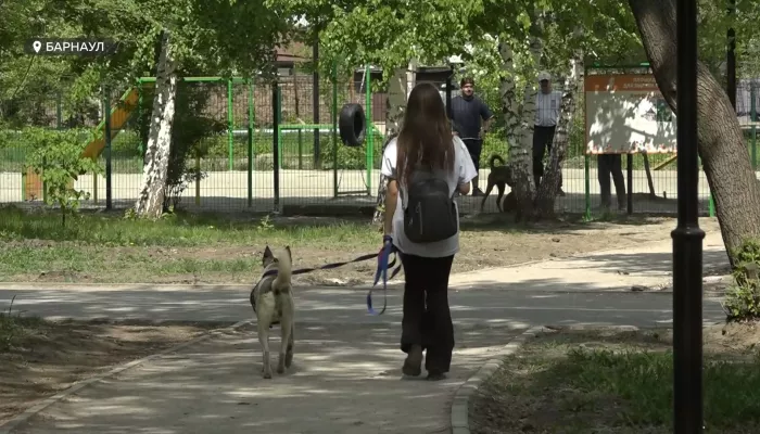 Барнаульские собаководы и их противники не могут поделить парк Изумрудный