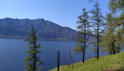 На Алтае показали, как преобразилось Телецкое озеро к концу весны