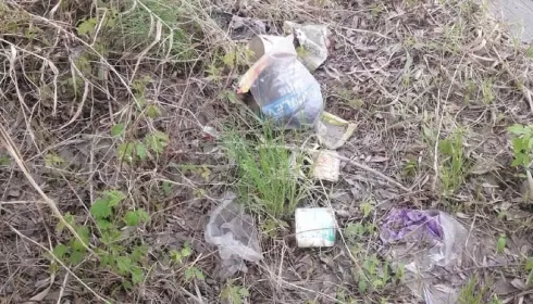 В Барнауле на берегу Оби заметили оставленные отдыхающими кучи мусора