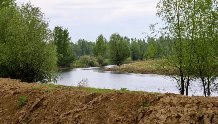 Уровни воды в Катуни и Оби в Алтайском крае со дня на день преодолеют опасные отметки