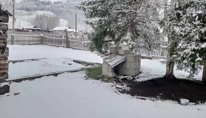 Алтайское село за день до лета укрыло снежным покрывалом