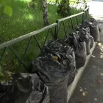 Коммунальный патруль: убитый тротуар и мусор во дворе дома