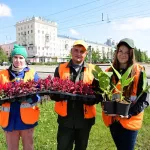 Более 150 тысяч цветов украсили Барнаул к летнему сезону