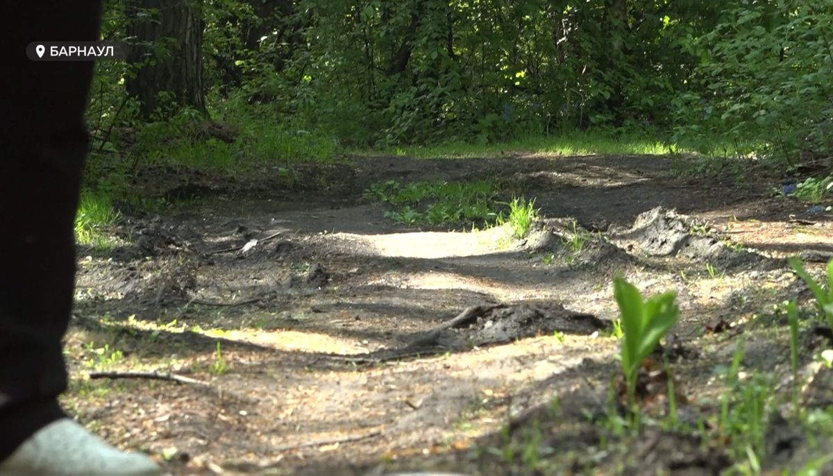 На какое бездорожье в пригороде пожаловались барнаульцы - Толк 01.06.2023