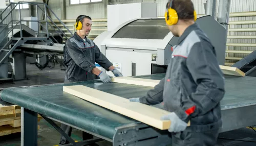 В холдинге Алтайлес рассказали о вызовах для леспрома