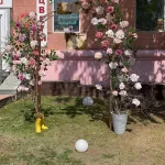 В Барнауле женщина разгромила цветочную арку на проспекте Ленина