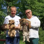 Виктор Томенко прогулялся по зоопарку Барнаула и познакомился со львенком Алтаем