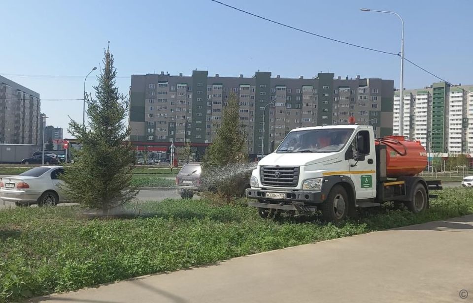 Полив зеленых насаждений в жару в Барнауле