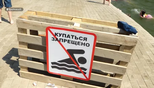 Барнаульцы открыли купальный сезон в пруду парка Изумрудный