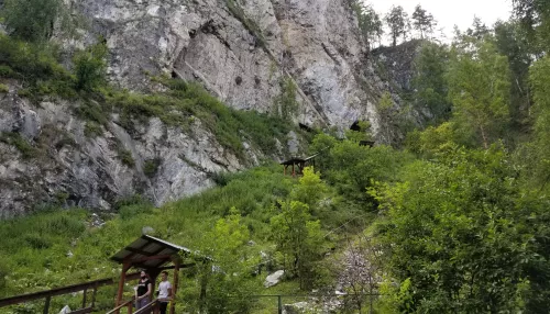 Туры на Алтай с детьми: топ-3 лучших мест для отдыха