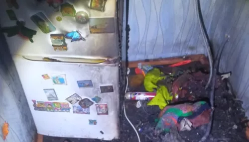 В квартире у жителя Алтайского края загорелась стиральная машина