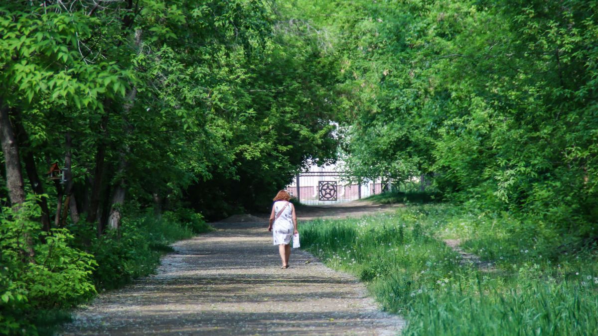 Парк имени В. И. Ленина в Индустриальном районе Барнаула. Июнь 2023 года 