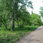 В Барнауле парк имени Ленина планируют благоустроить в несколько этапов