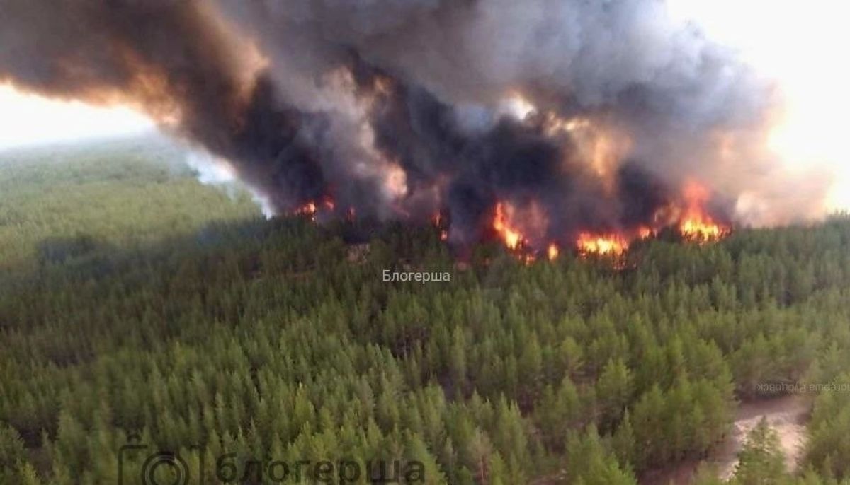 Что известно о лесном пожаре в Алтайском крае в Егорьевском районе - Толк  07.06.2023