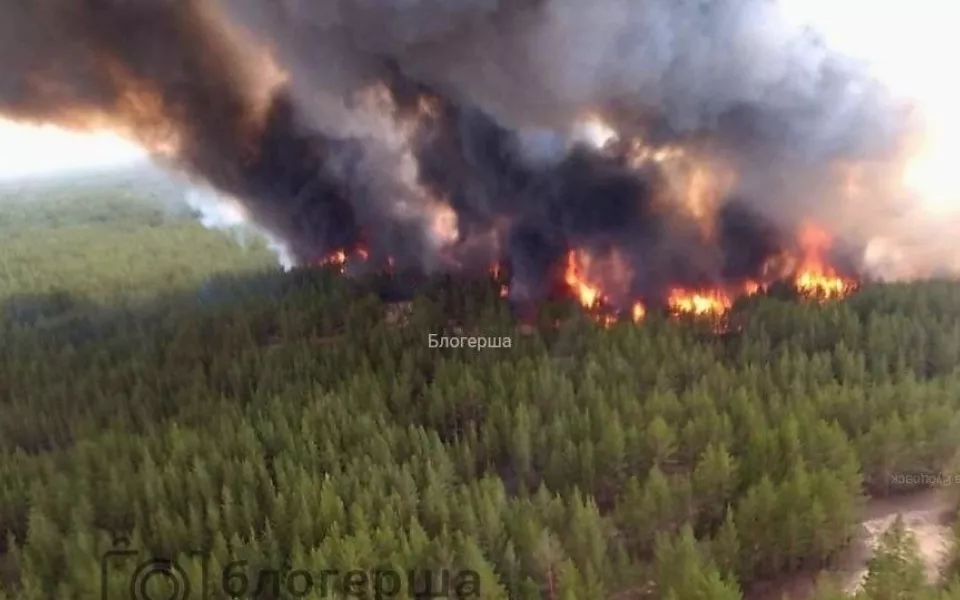 Крупный лесной пожар площадью 100 га произошел в Алтайском крае