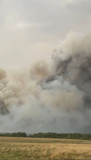 Пожар в Алтайском крае