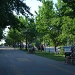 Жара до +33 градусов надвигается на Алтайский край: прогноз погоды