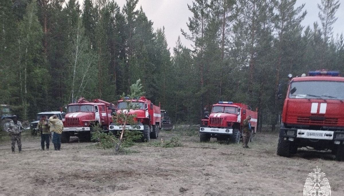 Что известно о крупном пожаре в Егорьевском районе - Толк 09.06.2023
