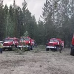 Назван предварительный ущерб от лесного пожара в Егорьевском районе
