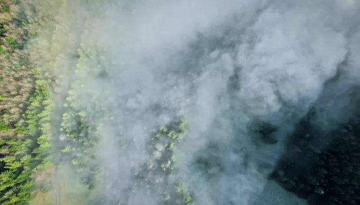 Особый противопожарный режим ввели в Чемальском районе Республики Алтай