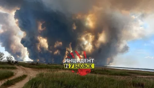 В Алтайском крае спустя неделю ликвидировали лесной пожар в Егорьевском районе