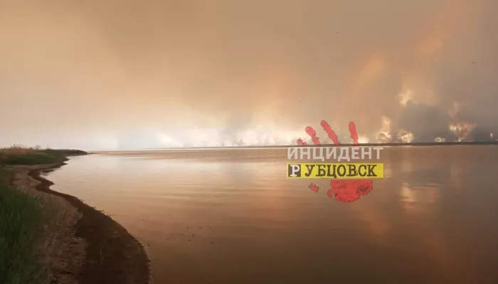 Лесной пожар в Егорьевском районе разросся до 4 тысяч га
