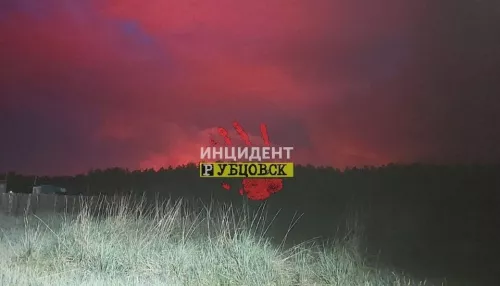 Егорьевский район и Рубцовск затянуло дымом из-за мощного природного пожара