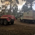 Масштабный лесной пожар в Егорьевском районе локализовали