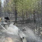 В Казахстане на границе с Алтаем из-за лесного пожара погибли 14 спасателей