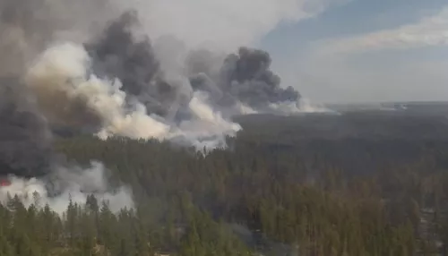 Алтайский край получит компенсацию затрат на тушение лесных пожаров